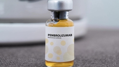 El Hospital K informa sobre 14 tipos de cáncer que pueden tratarse con medicamentos rusos.