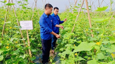 Empreendedorismo criativo juvenil