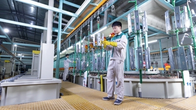 Vietnamesiska företag är självförsörjande vad gäller produktion och utvecklar mänskliga resurser.