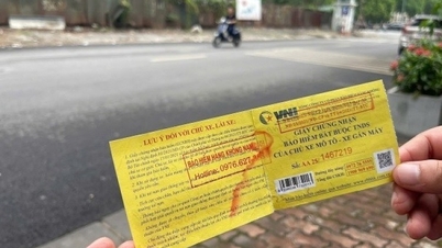 តើ​ការ​ធានា​រ៉ាប់រង​កាតព្វកិច្ច​រដ្ឋប្បវេណី​សម្រាប់​ម៉ូតូ​ត្រូវ​លុប​ចោល​ឬ?