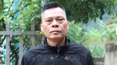 Forslag om å ha en egen seksjon om «omfattende utvikling av grense- og øyområder»