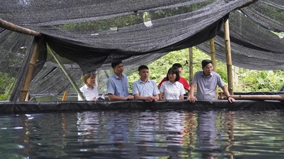 Agribank sichert den Kapitalbedarf für Kredite