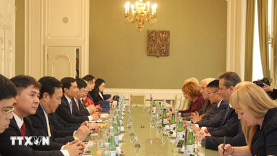 ویتنام و جمهوری چک همکاری‌های استراتژیک خود را گسترش می‌دهند