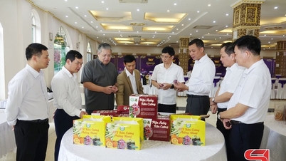 Từ nông nghiệp tự cung, tự cấp đến sản xuất hàng hóa