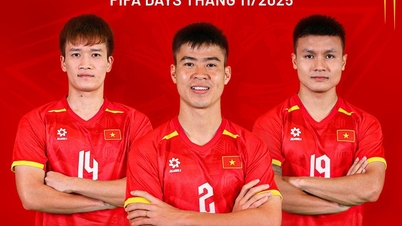 Nowy skład reprezentacji Wietnamu przed meczem z Laosem