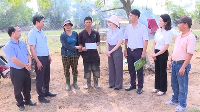 Асоціація фермерів міста Дананг надає подарунки сім'ям, які постраждали від стихійних лих