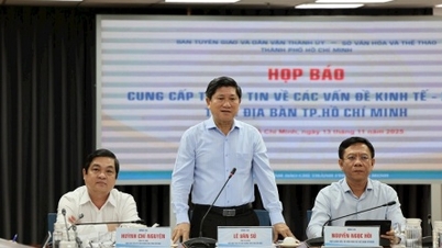 Ca Mau vyzývá k investicím do energetických a logistických projektů