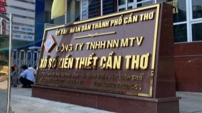 Can Tho គ្រោង​បញ្ចូល​ក្រុមហ៊ុន​ឆ្នោត​ចំនួន​៣