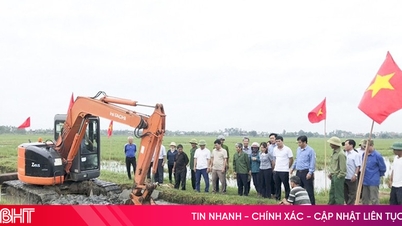 A földfelhalmozás elősegíti a nagyüzemi termelés megnyitását Tung Locban