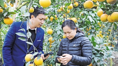 ដំណោះស្រាយសំខាន់ៗសម្រាប់ការអភិវឌ្ឍន៍កសិកម្មប្រកបដោយនិរន្តរភាព និងការការពារបរិស្ថាន