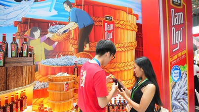 Décryptage des « stocks nationaux » de l'industrie FMCG vietnamienne