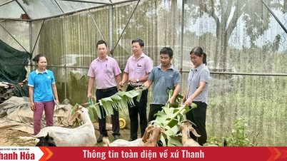 Bærekraftig fattigdomsreduksjon fra levebrødsmodeller