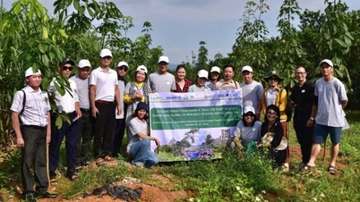 在来果樹品種の保全のためのインセンティブメカニズムの必要性