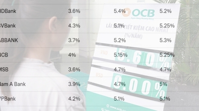 İşletmeleri ve ekonomiyi desteklemek için kredi faiz oranlarını istikrara kavuşturun