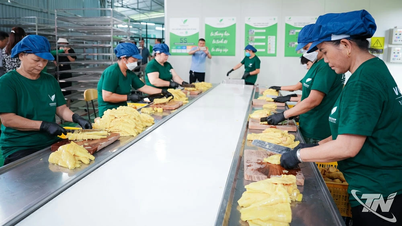 정책에서 지속 가능한 실천으로