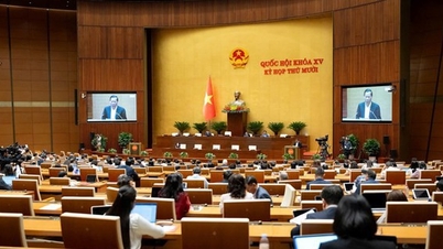 سرمایه‌گذاری در ساخت فرودگاه بین‌المللی گیا بین طبق استانداردهای بین‌المللی