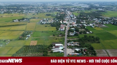 ہو چی منہ سٹی ہو چی منہ سٹی - موک بائی ایکسپریس وے کی کلیئرنس کی تلافی کے لیے 1,806 بلین VND کے ساتھ Tay Ninh کی حمایت کرتا ہے