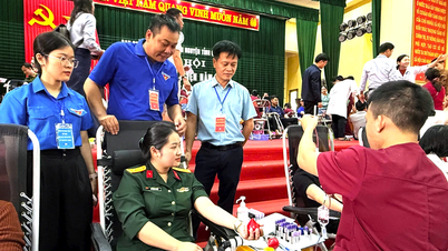 Получено 577 единиц крови по программе «Добровольное донорство крови».