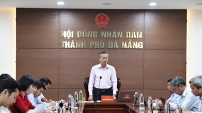 Da Nang: Trenden med läkarundersökningar och behandlingar på privata vårdinrättningar ökar.