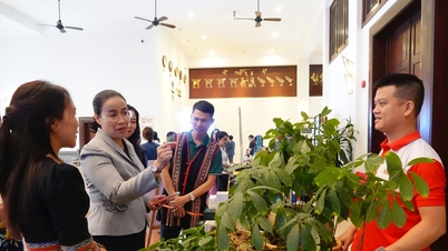 الترويج والإعلان عن السياحة في دا نانغ كوجهة دولية