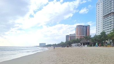 Da Nang: Mehr als 4.000 Tonnen Müll wurden eingesammelt, Touristenstrände und die Ufer des Han-Flusses wurden gesäubert.