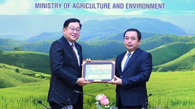 វៀតណាម-ម៉ាឡេស៊ី នឹងចុះហត្ថលេខាលើ MoU ថ្មីស្តីពីកិច្ចសហប្រតិបត្តិការកសិកម្ម