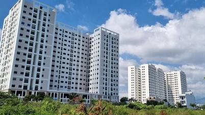 ចាំបាច់ត្រូវមានយន្តការពិសេសមួយ ដើម្បីដោះស្រាយបញ្ហាផ្លូវច្បាប់ ដើម្បីអភិវឌ្ឍលំនៅដ្ឋានសង្គម។