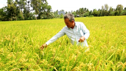 សហករណ៍ Duong Go Lo៖ ពី​ការ​ព្រួយ​បារម្ភ​អំពី​អាហារ និង​សម្លៀក​បំពាក់​ទៅ​ជា​គំរូ​បង្កើន​និរន្តរភាព