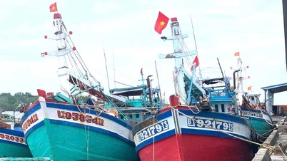 Vinh Long បញ្ចប់ប្រតិបត្តិការផ្តល់អាជ្ញាប័ណ្ណសម្រាប់កប៉ាល់នេសាទដែលមានសមត្ថភាព