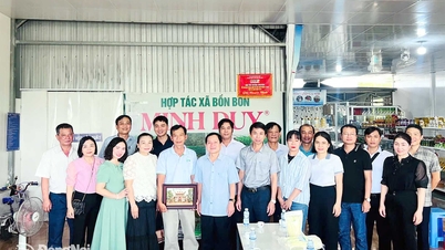 Dong Nai learns from experience in developing collective economy and cooperatives