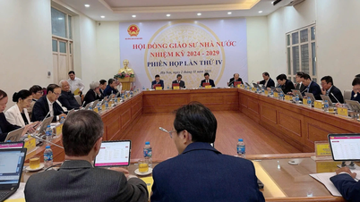 Vorschlag zur Anwendung des Gehaltsniveaus „leitende Experten“ auf Professoren: Was sagt das Innenministerium dazu?