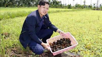 Открытие бизнеса на заброшенных прудах в родном городе Ламдонг