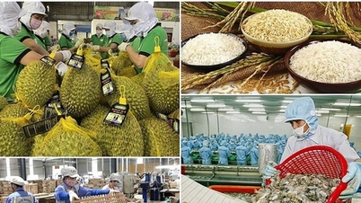 Vietnam'ın AB'ye tarım, ormancılık ve balıkçılık ihracatının teşvik edilmesi