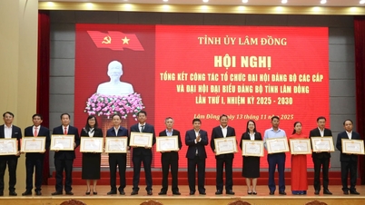 ស្ថាប័នបក្សឆ្នើម និងសមាជិកបក្សក្នុងការរៀបចំមហាសន្និបាតបក្សត្រូវបានប្រគល់ជូននូវប័ណ្ណសរសើរដោយគណៈកម្មាធិការអចិន្ត្រៃយ៍គណៈកម្មាធិការបក្សខេត្ត Lam Dong។