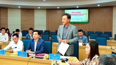 Voters of Gia Lam, Phu Dong, Thuan An, Bat Trang propose tightening land management