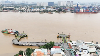 Ho Chi Minh City and Dong Nai agreed to independently divide the project to build 3 connecting bridges.