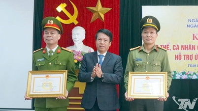 Неочікувані винагороди для груп та окремих осіб, які беруть участь у підтримці реагування на шторм № 11