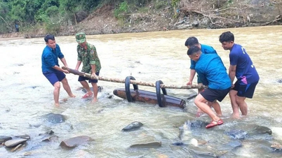 Bom seberat 350kg ditemui semasa bercucuk tanam di Bac Ninh