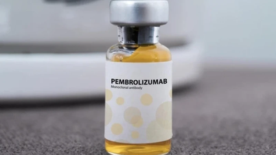 Das Krebsmedikament Pembroria wurde gerade in Vietnam zugelassen: Was Sie wissen müssen