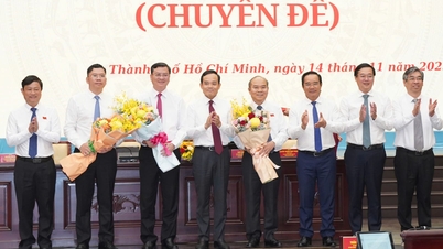 호치민시 인민위원회, 신임 부위원장 3명 임명