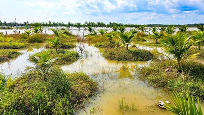 Mais de 3,7 bilhões de VND em prejuízos após enchentes repentinas em Nam Thanh