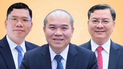 Г-н Чан Ван Бэй, Нгуен Конг Винь, Хоанг Нгуен Динь были избраны заместителями председателя Народного комитета города Хошимина.