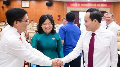 Abertura da sessão especializada do Conselho Popular da Cidade de Ho Chi Minh, com revisão de diversos assuntos importantes e do trabalho de pessoal.