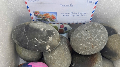 Turiștii returnează roci marine în Co To după ce au citit un articol despre plantarea de corali pe VietNamNet