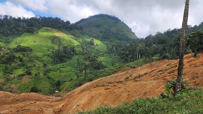 Tanah runtuh di atas bukit di komune Hung Son: Banyak rumah dan ladang tertimbus, beberapa penduduk masih belum dihubungi.