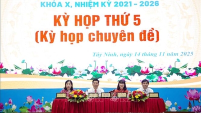 Tay Ninh: Wsparcie w modernizacji i wymianie sprzętu monitorującego statki rybackie