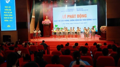 Lao Cai a diabétesz világnapjára (november 14.) válaszul szervezi az ünnepséget.