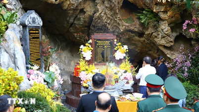 Quang Tri : Mise en valeur du site historique national exceptionnel de Hang Tam Co