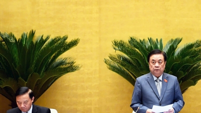 A professzionalizmus és a hatékonyság biztosítása az építési beruházási projektek megvalósításában