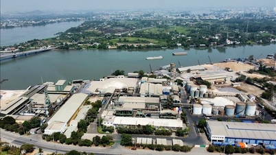 Dong Nai: Usuwanie przeszkód, aby rozpocząć budowę 3 dużych parków przemysłowych 19 grudnia